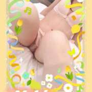 ヒメ日記 2026/06/13 03:21 投稿 木下　まき 妻の本音