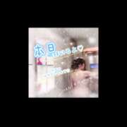 ヒメ日記 2026/07/12 10:55 投稿 木下　まき 妻の本音