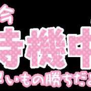 ヒメ日記 2026/09/16 01:24 投稿 木下　まき 妻の本音