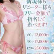 ヒメ日記 2026/09/19 17:58 投稿 木下　まき 妻の本音