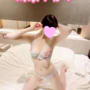 ヒメ日記 2025/01/31 11:11 投稿 岡本りえ 月の真珠-新宿-