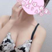 ヒメ日記 2025/03/10 08:07 投稿 岡本りえ 月の真珠-新宿-