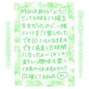 ヒメ日記 2025/05/31 13:01 投稿 りん コレクション