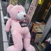 ヒメ日記 2025/01/16 17:41 投稿 みき 即アポマダム～名古屋店～