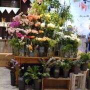 ヒメ日記 2025/05/02 08:30 投稿 あゆみ みやこ