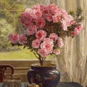 ヒメ日記 2025/09/29 15:57 投稿 あゆみ みやこ