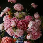 ヒメ日記 2026/04/27 11:35 投稿 あゆみ みやこ