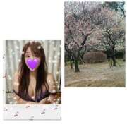 ヒメ日記 2025/03/12 07:59 投稿 はるか みやこ