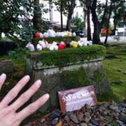 ヒメ日記 2024/12/28 20:12 投稿 宇津井(うつい)奥様 金沢の20代30代40代50代が集う人妻倶楽部