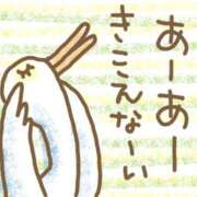 ヒメ日記 2025/03/23 21:03 投稿 宇津井(うつい)奥様 金沢の20代30代40代50代が集う人妻倶楽部