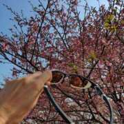 ヒメ日記 2025/03/26 16:03 投稿 宇津井(うつい)奥様 金沢の20代30代40代50代が集う人妻倶楽部