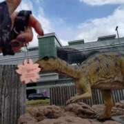 ヒメ日記 2025/03/30 14:48 投稿 宇津井(うつい)奥様 金沢の20代30代40代50代が集う人妻倶楽部