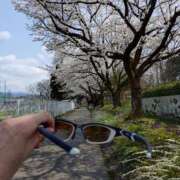 ヒメ日記 2025/04/07 13:03 投稿 宇津井(うつい)奥様 金沢の20代30代40代50代が集う人妻倶楽部