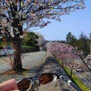 ヒメ日記 2025/04/07 13:48 投稿 宇津井(うつい)奥様 金沢の20代30代40代50代が集う人妻倶楽部