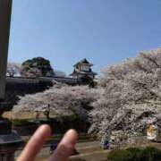 ヒメ日記 2025/04/09 09:03 投稿 宇津井(うつい)奥様 金沢の20代30代40代50代が集う人妻倶楽部