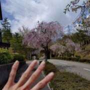 ヒメ日記 2025/04/19 09:03 投稿 宇津井(うつい)奥様 金沢の20代30代40代50代が集う人妻倶楽部