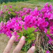 ヒメ日記 2025/05/15 18:18 投稿 宇津井(うつい)奥様 金沢の20代30代40代50代が集う人妻倶楽部