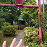 ヒメ日記 2025/05/19 15:57 投稿 宇津井(うつい)奥様 金沢の20代30代40代50代が集う人妻倶楽部