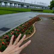 ヒメ日記 2025/06/26 19:21 投稿 宇津井(うつい)奥様 金沢の20代30代40代50代が集う人妻倶楽部