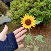 ヒメ日記 2025/07/19 14:51 投稿 宇津井(うつい)奥様 金沢の20代30代40代50代が集う人妻倶楽部