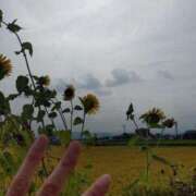 ヒメ日記 2025/08/31 18:39 投稿 宇津井(うつい)奥様 金沢の20代30代40代50代が集う人妻倶楽部