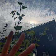 ヒメ日記 2025/11/06 11:48 投稿 宇津井(うつい)奥様 金沢の20代30代40代50代が集う人妻倶楽部