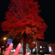 ヒメ日記 2025/11/11 16:33 投稿 宇津井(うつい)奥様 金沢の20代30代40代50代が集う人妻倶楽部