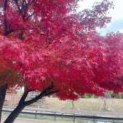 ヒメ日記 2025/11/27 10:48 投稿 みそら奥様 金沢の20代30代40代50代が集う人妻倶楽部