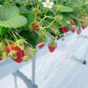 みそら奥様 [お題]from:ポンタさん 金沢の20代30代40代50代が集う人妻倶楽部