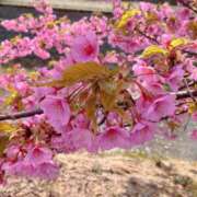 ヒメ日記 2026/02/20 10:18 投稿 椎名(しいな)奥様 金沢の20代30代40代50代が集う人妻倶楽部