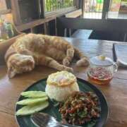 ヒメ日記 2025/08/23 23:00 投稿 あみか奥様 金沢の20代30代40代50代が集う人妻倶楽部