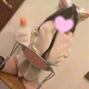 ヒメ日記 2024/12/20 10:21 投稿 しゅり奥様 金沢の20代30代40代50代が集う人妻倶楽部