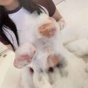 ヒメ日記 2025/04/09 13:48 投稿 しゅり奥様 金沢の20代30代40代50代が集う人妻倶楽部