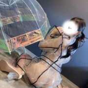 ヒメ日記 2025/04/11 10:18 投稿 しゅり奥様 金沢の20代30代40代50代が集う人妻倶楽部