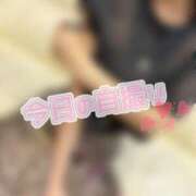 ヒメ日記 2025/07/09 11:06 投稿 しゅり奥様 金沢の20代30代40代50代が集う人妻倶楽部