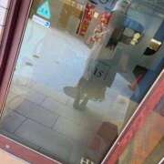 ヒメ日記 2026/03/10 20:12 投稿 しゅり奥様 金沢の20代30代40代50代が集う人妻倶楽部