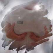 ヒメ日記 2025/03/02 20:19 投稿 まゆこ奥様 金沢の20代30代40代50代が集う人妻倶楽部