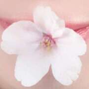 ヒメ日記 2025/04/11 16:18 投稿 まゆこ奥様 金沢の20代30代40代50代が集う人妻倶楽部