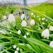 ヒメ日記 2025/04/20 08:03 投稿 まゆこ奥様 金沢の20代30代40代50代が集う人妻倶楽部