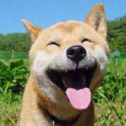 ヒメ日記 2025/07/31 08:45 投稿 まゆこ奥様 金沢の20代30代40代50代が集う人妻倶楽部