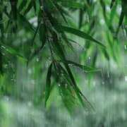 ヒメ日記 2025/08/07 09:00 投稿 まゆこ奥様 金沢の20代30代40代50代が集う人妻倶楽部