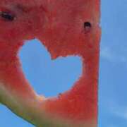 ヒメ日記 2025/08/10 11:09 投稿 まゆこ奥様 金沢の20代30代40代50代が集う人妻倶楽部