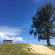 ヒメ日記 2025/09/25 07:03 投稿 まゆこ奥様 金沢の20代30代40代50代が集う人妻倶楽部