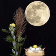 ヒメ日記 2025/10/07 05:39 投稿 まゆこ奥様 金沢の20代30代40代50代が集う人妻倶楽部