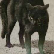 ヒメ日記 2025/10/11 10:12 投稿 まゆこ奥様 金沢の20代30代40代50代が集う人妻倶楽部