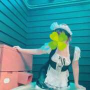 ヒメ日記 2025/10/14 13:48 投稿 まゆこ奥様 金沢の20代30代40代50代が集う人妻倶楽部