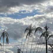 ヒメ日記 2025/10/28 09:33 投稿 まゆこ奥様 金沢の20代30代40代50代が集う人妻倶楽部