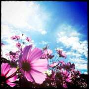 ヒメ日記 2025/10/29 11:33 投稿 まゆこ奥様 金沢の20代30代40代50代が集う人妻倶楽部