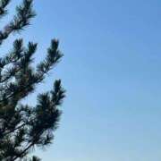 ヒメ日記 2025/11/29 08:48 投稿 まゆこ奥様 金沢の20代30代40代50代が集う人妻倶楽部