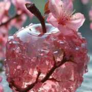 ヒメ日記 2026/02/22 13:03 投稿 まゆこ奥様 金沢の20代30代40代50代が集う人妻倶楽部